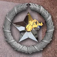 Венок вечный огонь чугун звезда нержавеющая сталь в Серпухове (518577)