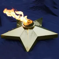 Звезда Ø 1100 - горелка ГВД 379 10 89 00 ПС (1636) в Серпухове
